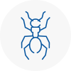 Ant Removals In Chesterfield