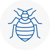 Bed Bug Extermination In Chesterfield