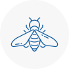 Bee Nest Removal Chesterfield