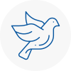 Bird Prevention Chesterfield