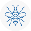 Chesterfield Hornet Nest Removals