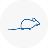 Mice Exterminators In Chesterfield