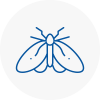 Moth Control Specialists In Chesterfield