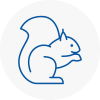 Chesterfield Rodent Removals