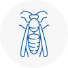 Chesterfield Wasp Nest Removal